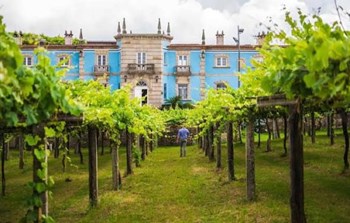 Albariño - Imagen 1