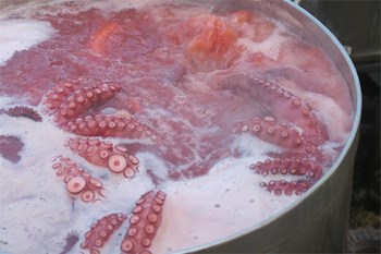 Pulpo - Imagen 1