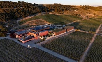 Ribera del Duero - Imagen 1